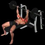 Barbell Bench Press exercise thumbnail